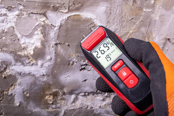 Best Residential Mold Removal  in Eerlin, ND