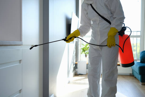 Best Mold Removal and Inspection  in Eerlin, ND